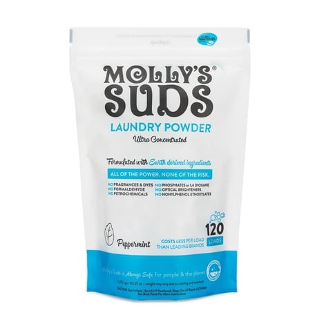 top laundry detergent brands - molly suds