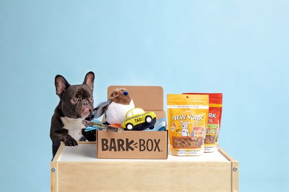 top online pet stores - barkbox